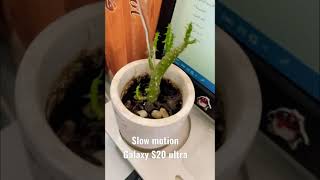 Samsung Galaxy S20 ultra slow motion