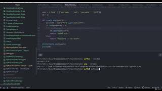 Celebrity Milestones in Python 3 8 with exciting new features Lecture  03   Walrus Operator in Python 3 8 Net Worth