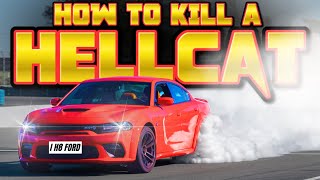 How To KILL A Dodge Charger | EVERYTHING TO KNOW