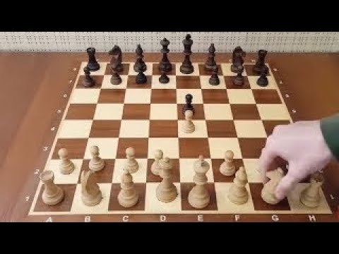 Видео: Самый опасный шаг в начале партии! Эту ЛОВУШКУ должен знать каждый! Шахматы дебюты.