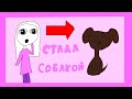 Стала собакой (анимация)