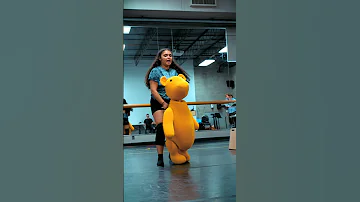 Meet The Puppets Of Winnie The Pooh Friends 