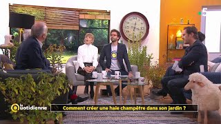 Comment créer une haie champêtre dans son jardin ? - La Quotidienne