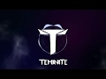 Teminite - State Of Mind