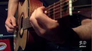 f.d. guitars
