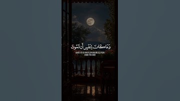 ما كان لنفس أن تموت إلا بإذن الله | سورة آل عمران #قرآن #قران_كريم #تلاوة_هادئة #اكسبلور #quran