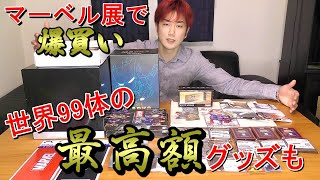 【マーベルスタジオ/ヒーローたちの世界へ】グッズ紹介。イベント最高額グッズも！