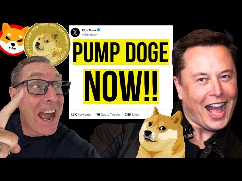   DOGECOIN DOGE Price Approaches August Peak Expert Reveals 2023 2024 Price Prediction DOGECOINNEWS
