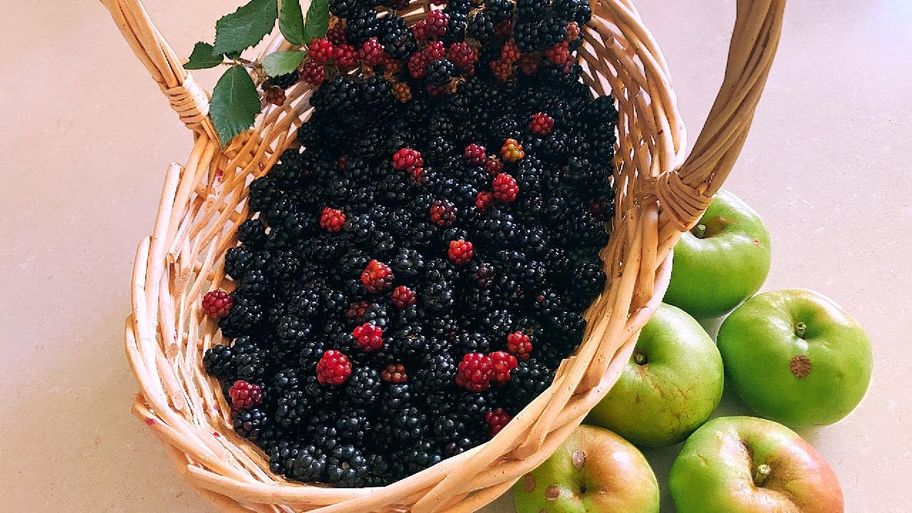 රසම රස බ්ලැක් බෙරියි ඇපලුයි කඩන්න ගියා වෙස්ලිත් එක්ක😋We picked blackberries and apples with Wesley😋