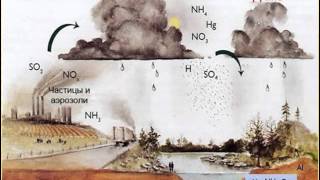 Самкова Т С  естествознание урок 7 Загрязнение атмосферы  Химические элементы в организме человека
