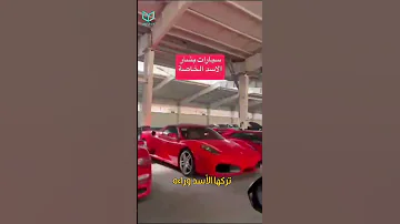 دخول قصر بشار الأسد 