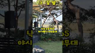 #색소폰연주 #대중가요연주 #트로트
