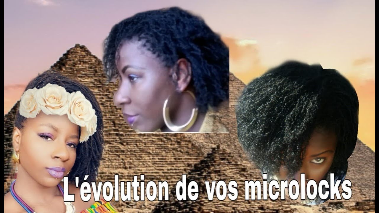 L'évolution de vos locks !! de baby locks a locks "MATURE" YouTube