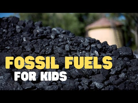 Video: Odkud fosilní paliva pocházejí?