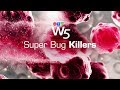 W5: Using phage therapy to combat drug-resistant superbugs