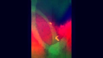 HEALING FREQUENCIES - Chakra Resonance Sequence (432 Hz Pythagorean Tuning)