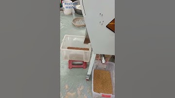 oat color sorting machine grain color sorter processing machinery