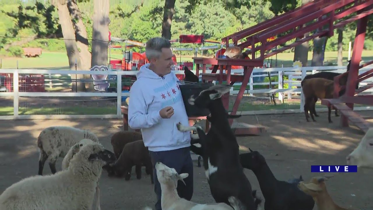 Around Town - Sonny Acres Farm