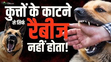 Dog Bite से हो सकती हैं Rabies से भी खतरनाक बीमारियाँ जैसे Fasial Sepsis, Bacterial Infection