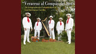 Video thumbnail of "Los Hermanos Carrillo - La Guacamaya"