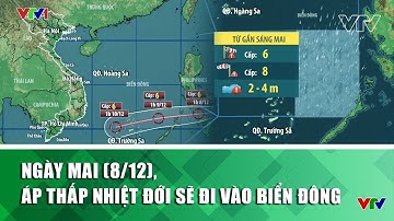 Ngày mai (8/12), áp thấp nhiệt đới sẽ đi vào Biển Đông | VTV