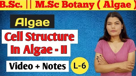 Cell Structure in Algae | BSc 1st semester Botany | MSc Botany