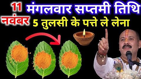 11 नवंबर मंगलवार सप्तमी तिथि के दिन 5 तुलसी के पत्ते वाला उपाय जरुर करे || Pradeep Ji Mishra