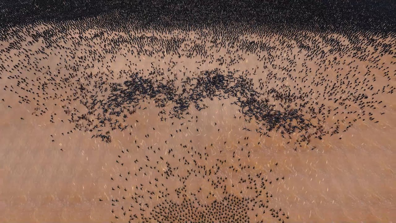 ►UEBS◄ US Soldiers vs 50000 | Ultimate Epic Battle Simulator