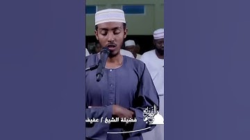 تلاوة سورة يوسف