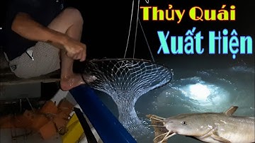 Câu cá ngát và Câu giăng lần 2 lại gặp ngay bầy Cá Út khủng//dân dã miền quê official