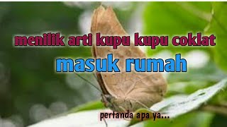 arti kupu kupu coklat masuk rumah ,pertanda apa