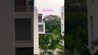 Unexpected twist 😔⛈️ #ytshorts #shorts #minivlog #vlog #telugu #rain