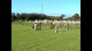 Kes Gridwork