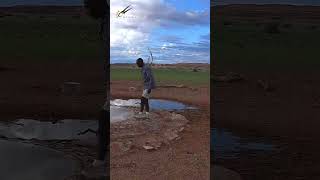 Salt Block Delivery – Was This David at the Waterhole?