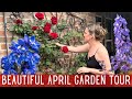 2024 April Garden Tour in Zone 8 🌷 || Spring Garden Tour || Cut Flower Garden