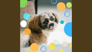 Pulsating Backdrops for Resting Dogs