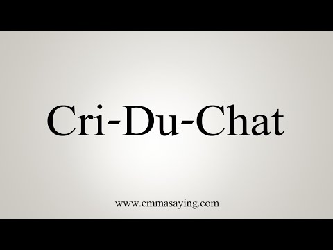 How To Say Cri-Du-Chat