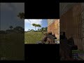 Умер от нейлгана #rust #раст