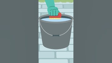 How to Clean Window Screens #shorts