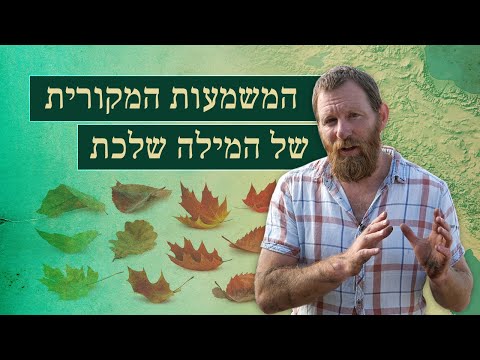 וִידֵאוֹ: מה המשמעות של morgenschön?