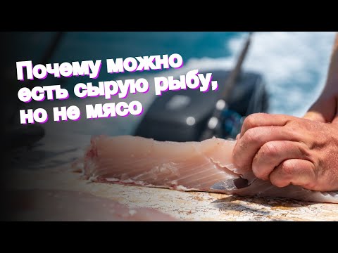 Почему можно есть сырую рыбу, но не мясо