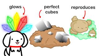 The Craziest Rocks In The World