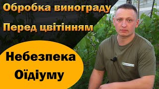 Оїдіум та інші хвороби і їх профілактика на початку сезону. Комплексна обробка винограду. Част 1