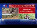 వేటగాళ్లకు సీరియస్ వార్నింగ్..Dy CM Pawan Kalyan Appoints Special Committee After Tiger Deaths | TV5