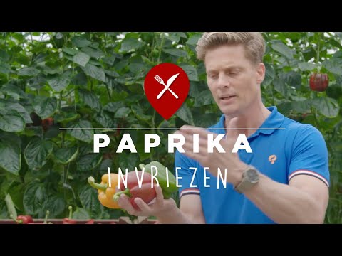 Video: Paprika's Invriezen