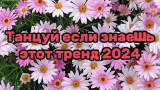 🌻🤩Танцуй Если Знаешь Этот Тренд💛💓Тренды 2024Года😍