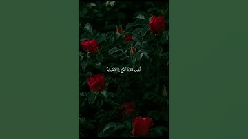 القارئ / علي جابر رحمه الله