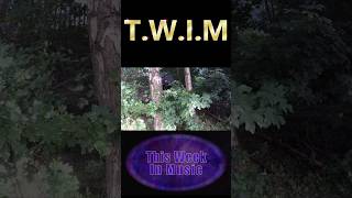 TWIM 42