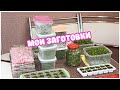 Заготовка Зелени на ЗИМУ, сохраняем Вкус и Пользу