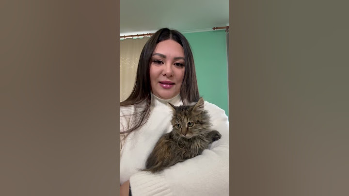 Кошка-помощница. Работаем в лагере для военнопленных #крынина #нашвыход #хочунайти